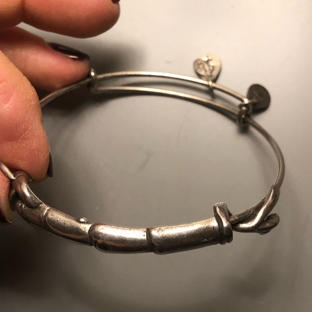 Alex and Ani silver Bamboo adjustable bangle. Looks great worn in a “stack”
